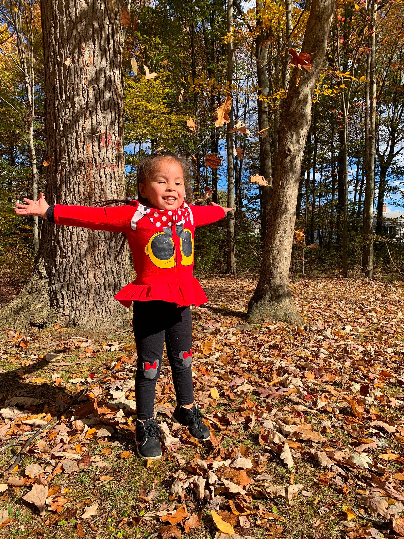 Aaliyah joined the competition — help win amazing prizes! autumn, child, deciduous, forest, joy, leaf, people_in_nature, person, plant, play, recreation, smile, toddler, tree, woodland