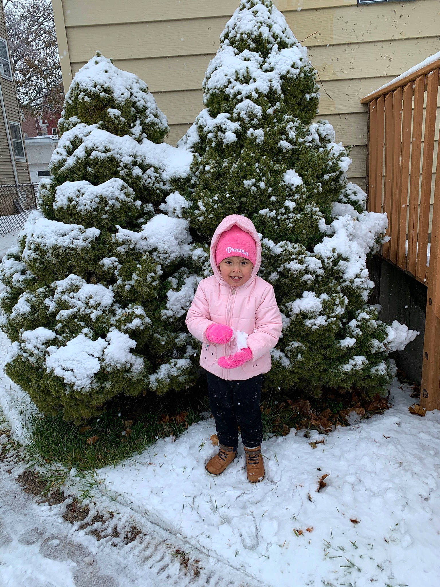 Aaliyah is registered to the contest to win money with this photo: christmas, christmas_tree, colorado_spruce, conifer, evergreen, fir, freezing, frost, headwear, home, joy, leaf, outerwear, person, pine, pine_family, plant, snow, spruce, tree