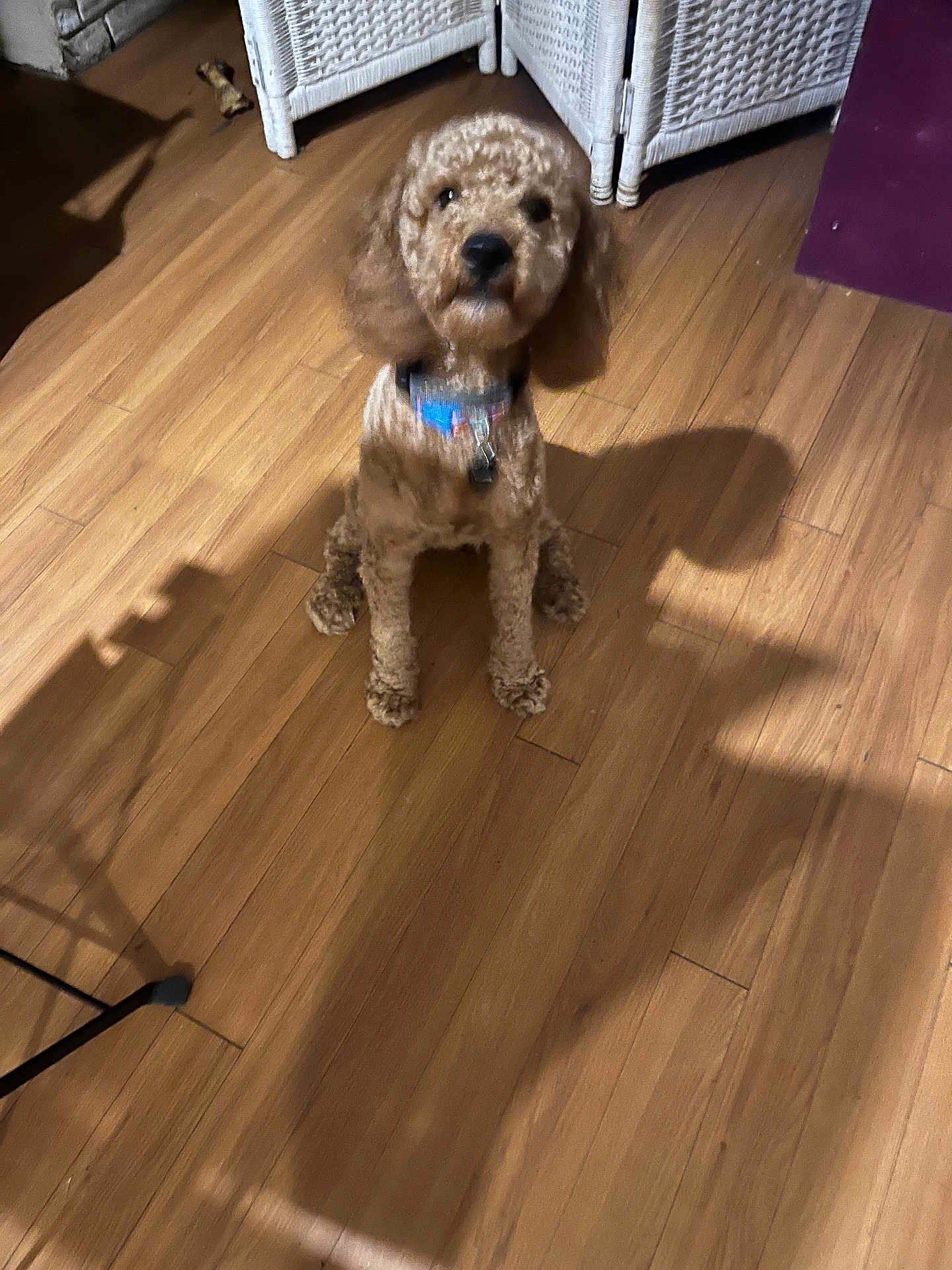 Benito
