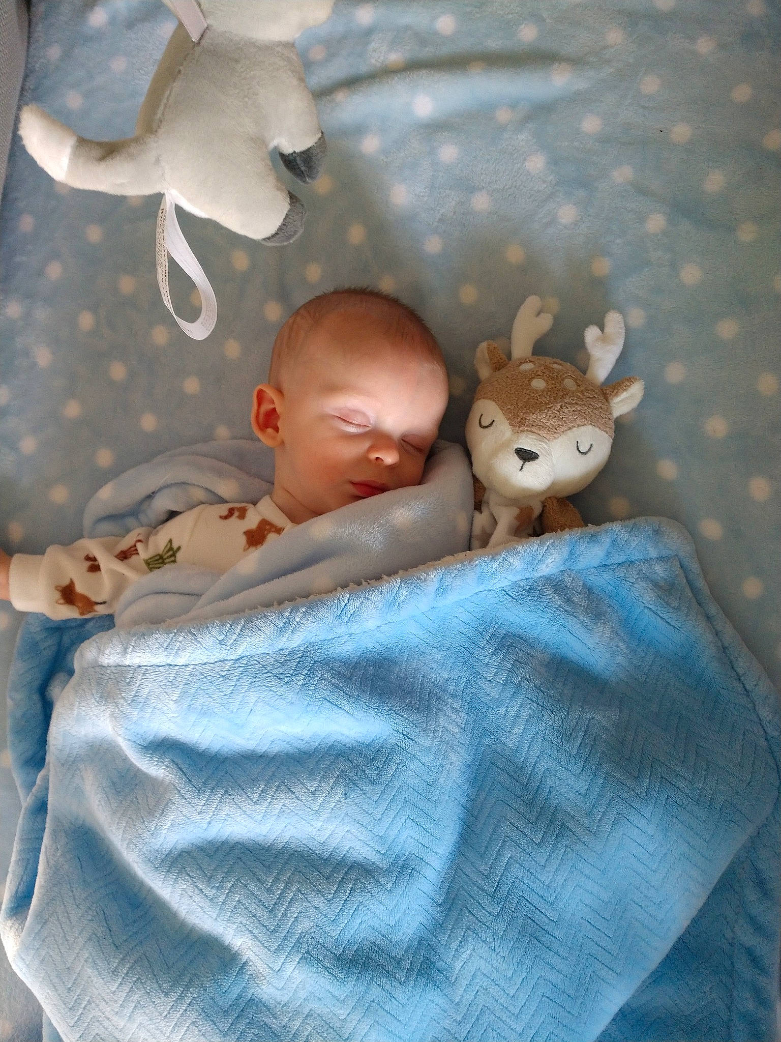 Edison is registered to the contest to win money with this photo: baby, bed, bedtime, blanket, child, doll, fawn, fictional_character, figurine, linens, person, product, toy