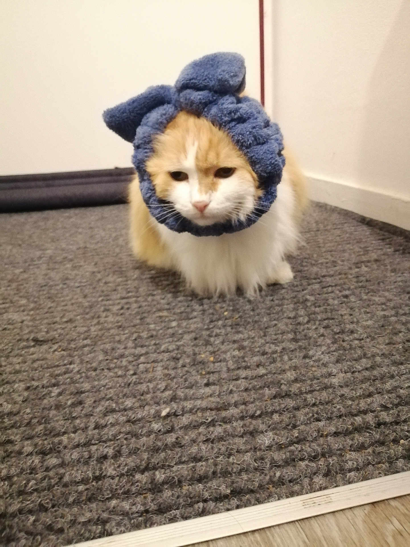 Caramel