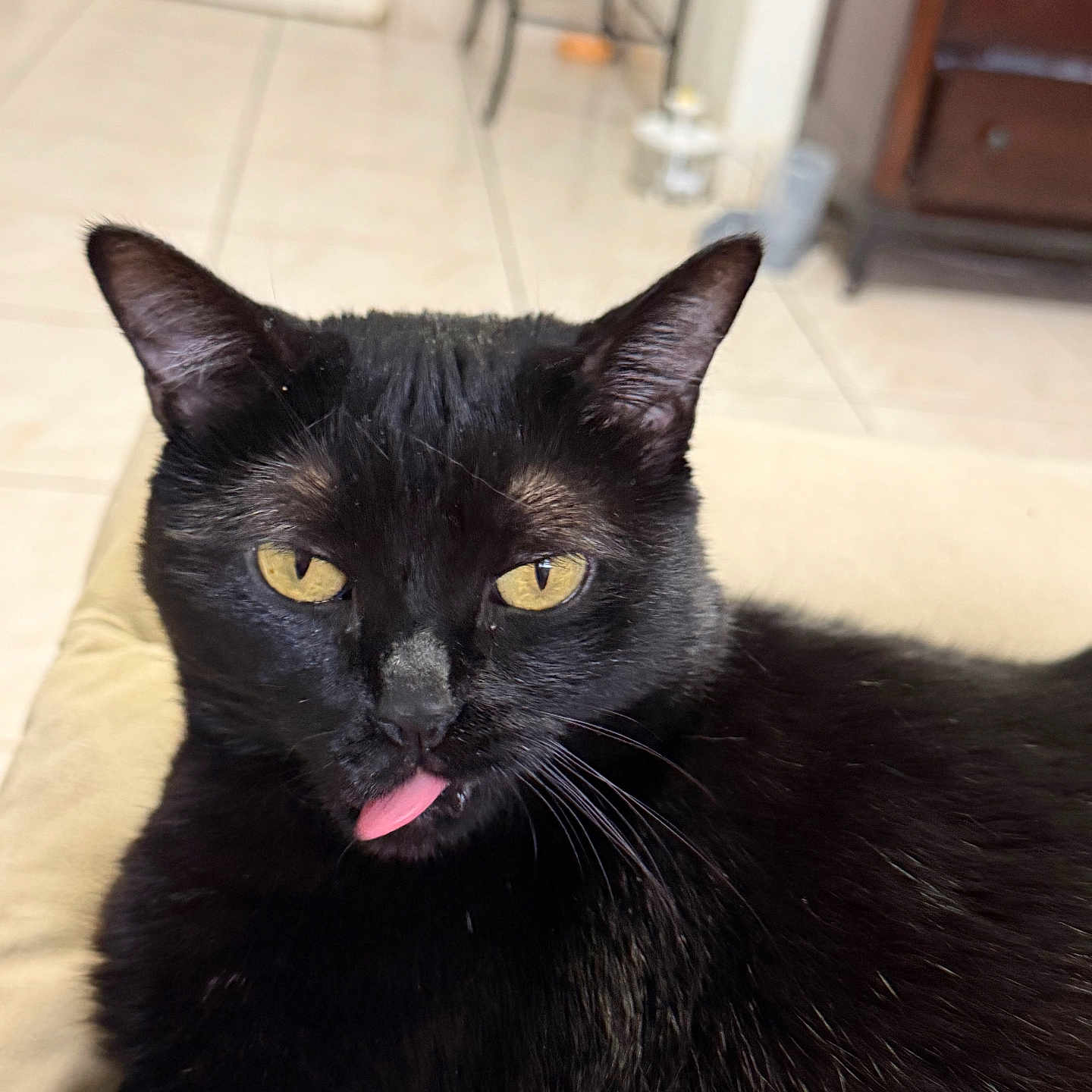 Lucifer