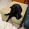 black_cat, cat, feline, pet, sleeping, lying_down, relaxed, golden_eyes, fur, whiskers, paws, tail, ottoman, footstool, furniture, indoor, living_room, tiled_floor, cozy, portrait