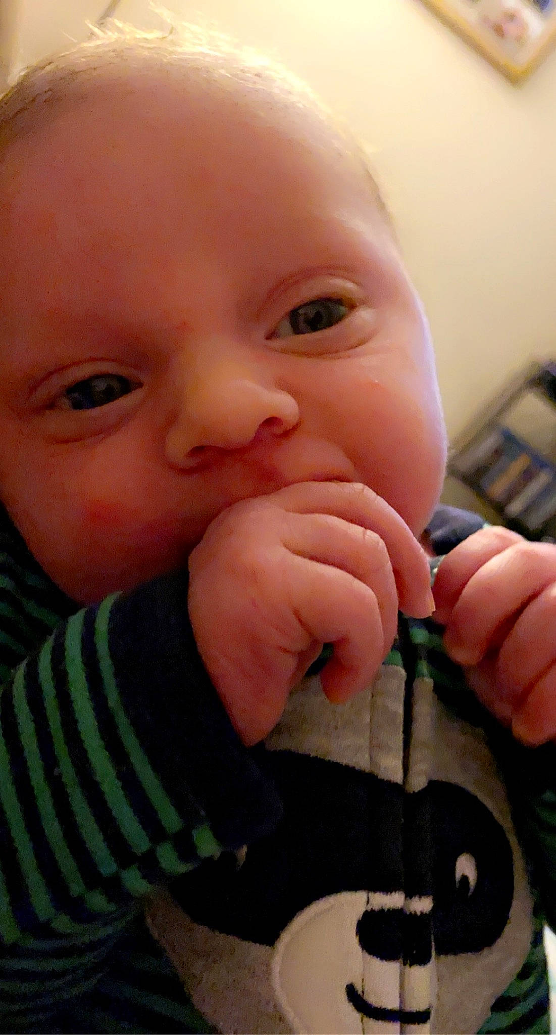 Felix joined the competition — help win amazing prizes! cheek, chin, ear, eye, eyebrow, eyelash, finger, forehead, hairstyle, hand, human_body, iris, lip, mouth, nail, neck, nose, person, skin, smile