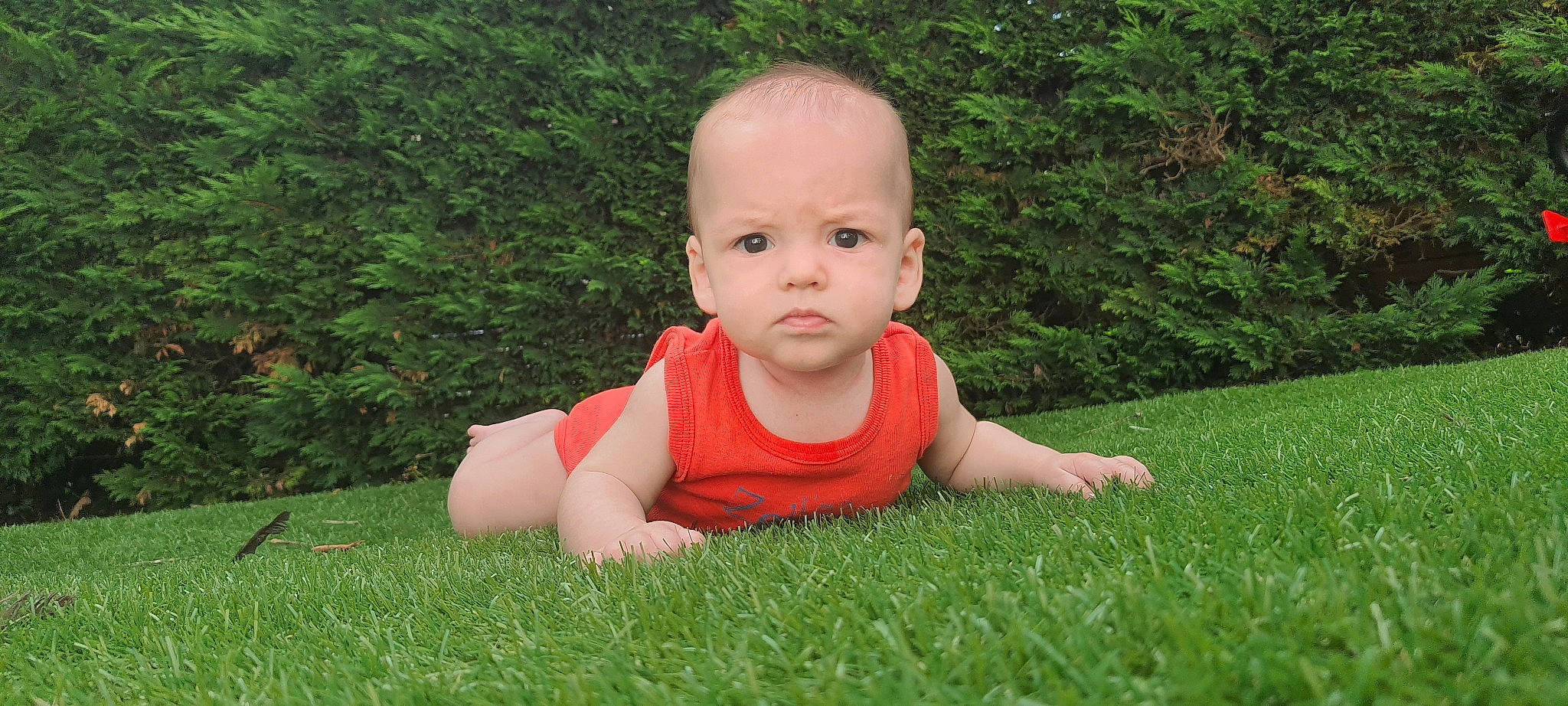 Ethan a rejoint le concours — aidez-le/la à gagner de superbes lots ! baby, child, crawling, grass, grass_family, lawn, meadow, person, plant, sitting, summer, toddler, tummy_time