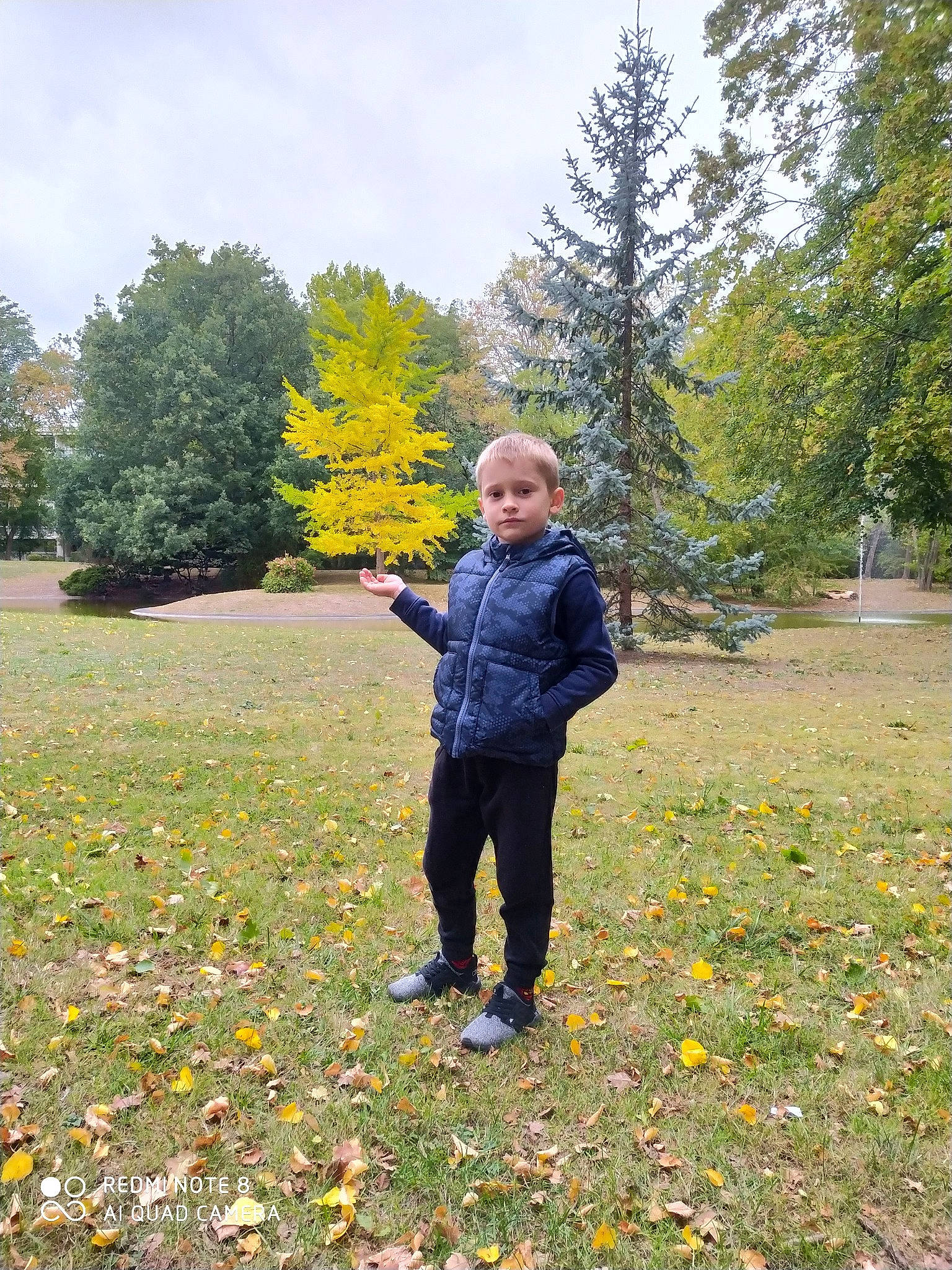 Ion participe au concours pour gagner de l'argent avec cette photo : autumn, botany, child, forest, grass, jacket, leaf, meadow, outerwear, park, people_in_nature, person, plant, recreation, toddler, tree, vacation, wilderness, yellow