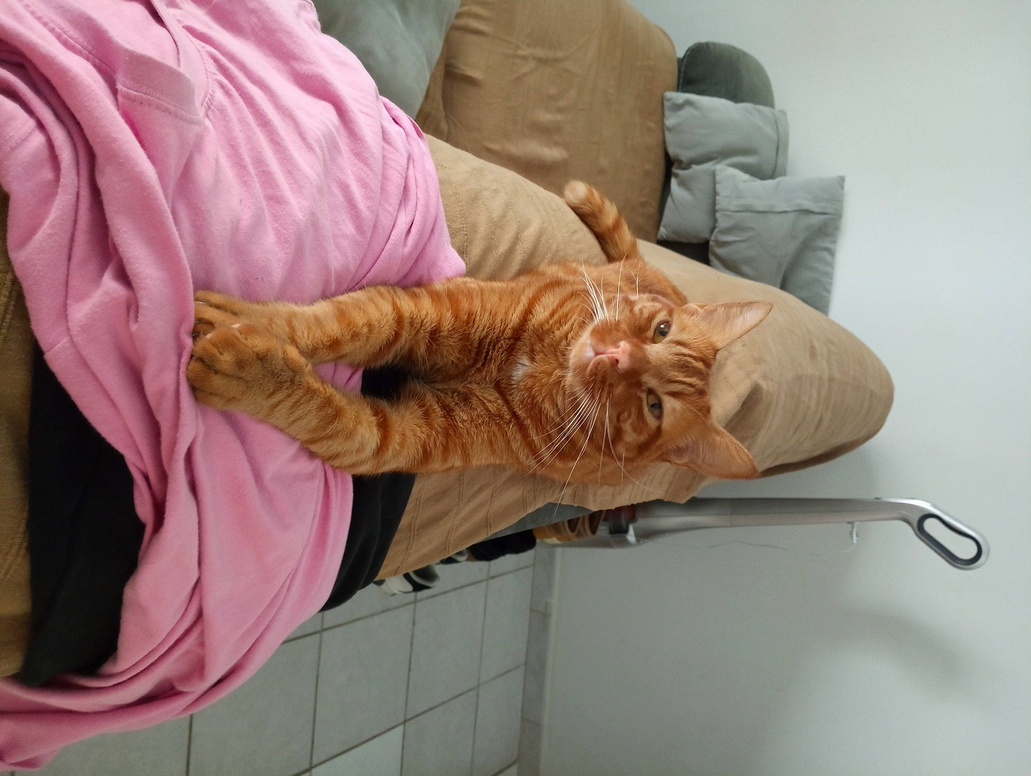 Catsby a rejoint le concours — aidez-le/la à gagner de superbes lots ! comfort, couch, felidae, flooring, fur, human_leg, knee, linens, nail, pattern, peach, pillow, room, sleeve, small_to_medium_sized_cats, textile, thread, wood, wrinkle, wrist