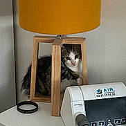 Arsouille participe au concours pour gagner de l'argent avec cette photo : kitten, cat, lamp, wood, yellow, medical_device, table, curious, indoor, pet, feline, white_surface, object, black_wristband, closeup, cozy, cute, home, peeking, resting