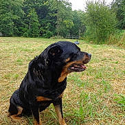 Roxane participe au concours pour gagner de l'argent avec cette photo :