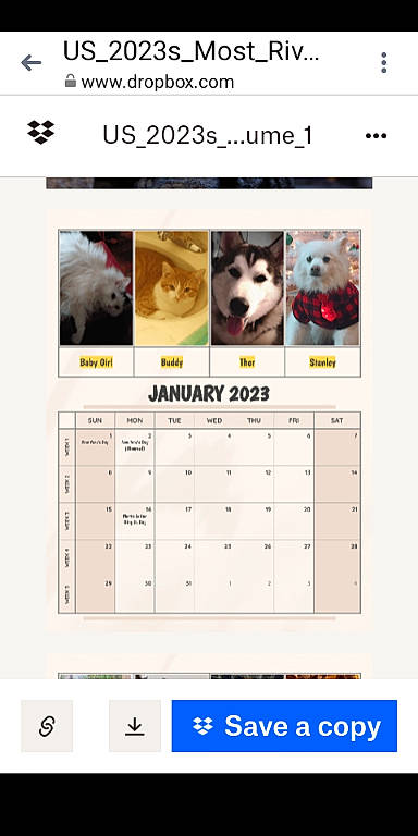 Babygirl is registered to the contest to win money with this photo: advertising, calendar, canidae, carnivore, companion_dog, dog_breed, font, fur, number, pattern, rectangle, screenshot, sporting_group, terrestrial_animal, wildlife, working_animal