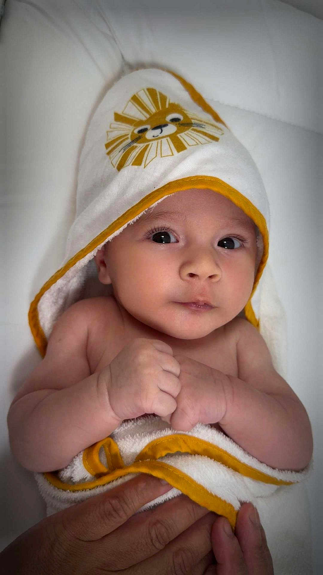 Liam a rejoint le concours — aidez-le/la à gagner de superbes lots ! baby, infant, towel, hooded_towel, lion_design, hands, skin, cute, portrait, closeup, newborn, child, soft, white, yellow, expression, face, wrapped, indoor, person