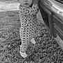 Hazel joined the competition — help win amazing prizes! toddler, child, baby, pajamas, heart_pattern, reflection, vehicle, bumper, grass, outdoor, nature, curious, expression, portrait, monochrome, black_and_white, footwear, standing, daylight, field