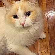 Benjamin is registered to the contest to win money with this photo: