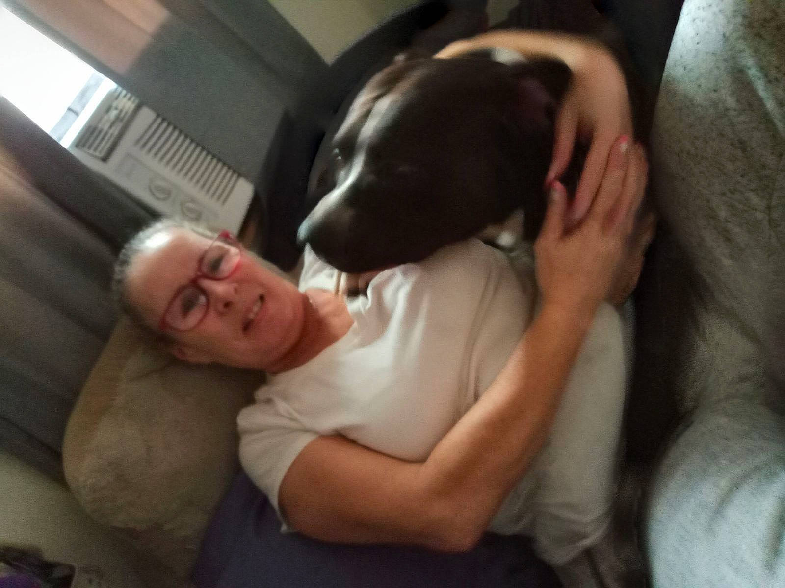 Oreo is registered to the contest to win money with this photo: canidae, carnivore, comfort, companion_dog, dog, dog_breed, ear, fun, fur, gesture, guard_dog, nap, sitting, sporting_group, toy_dog, whiskers