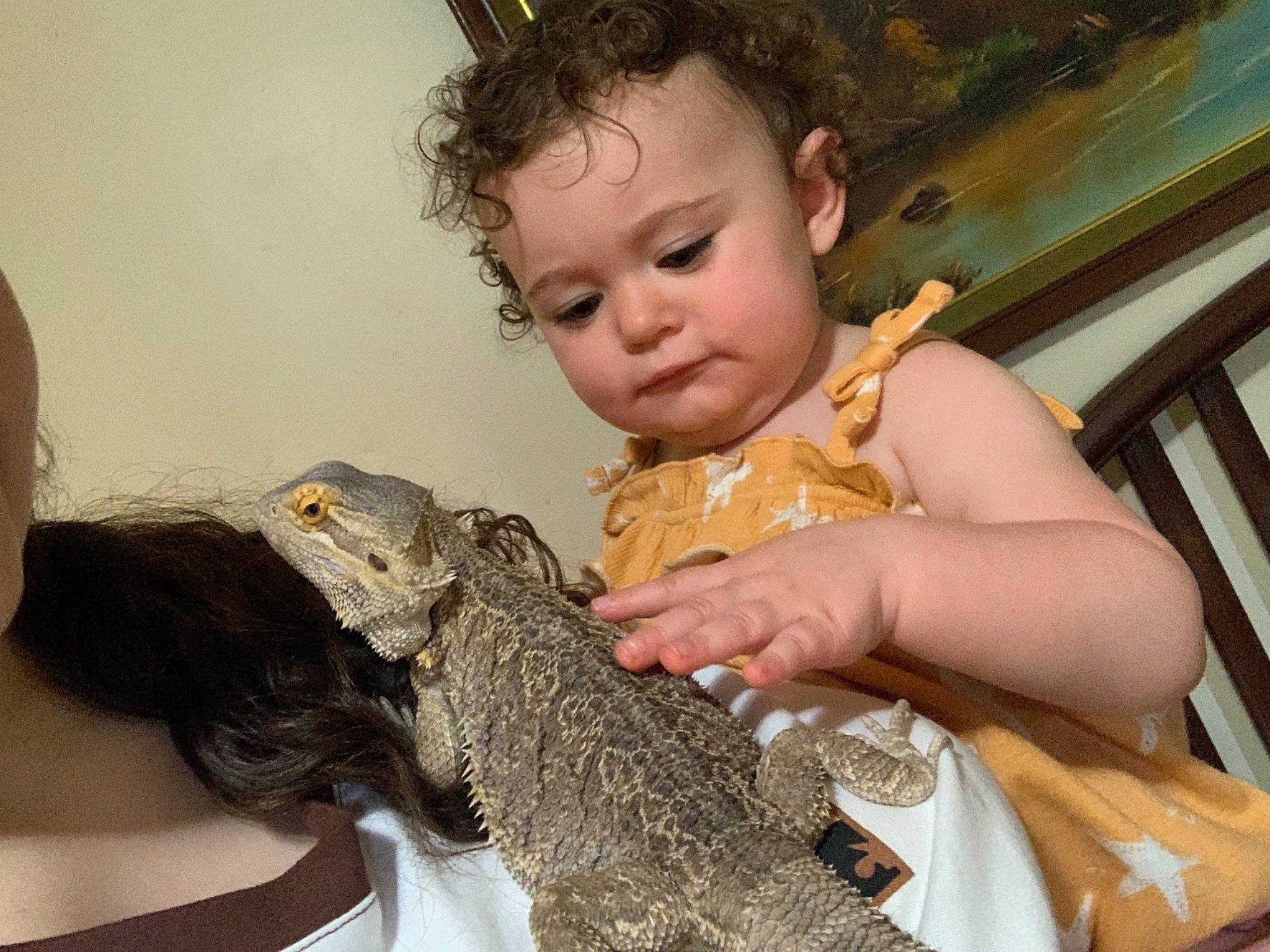 Ruth joined the competition — help win amazing prizes! alligator, baby, claw, crocodile, finger, fun, fur, hand, happy, iguania, iris, mouth, nail, nile_crocodile, organ, person, reptile, scaled_reptile, skin, terrestrial_animal