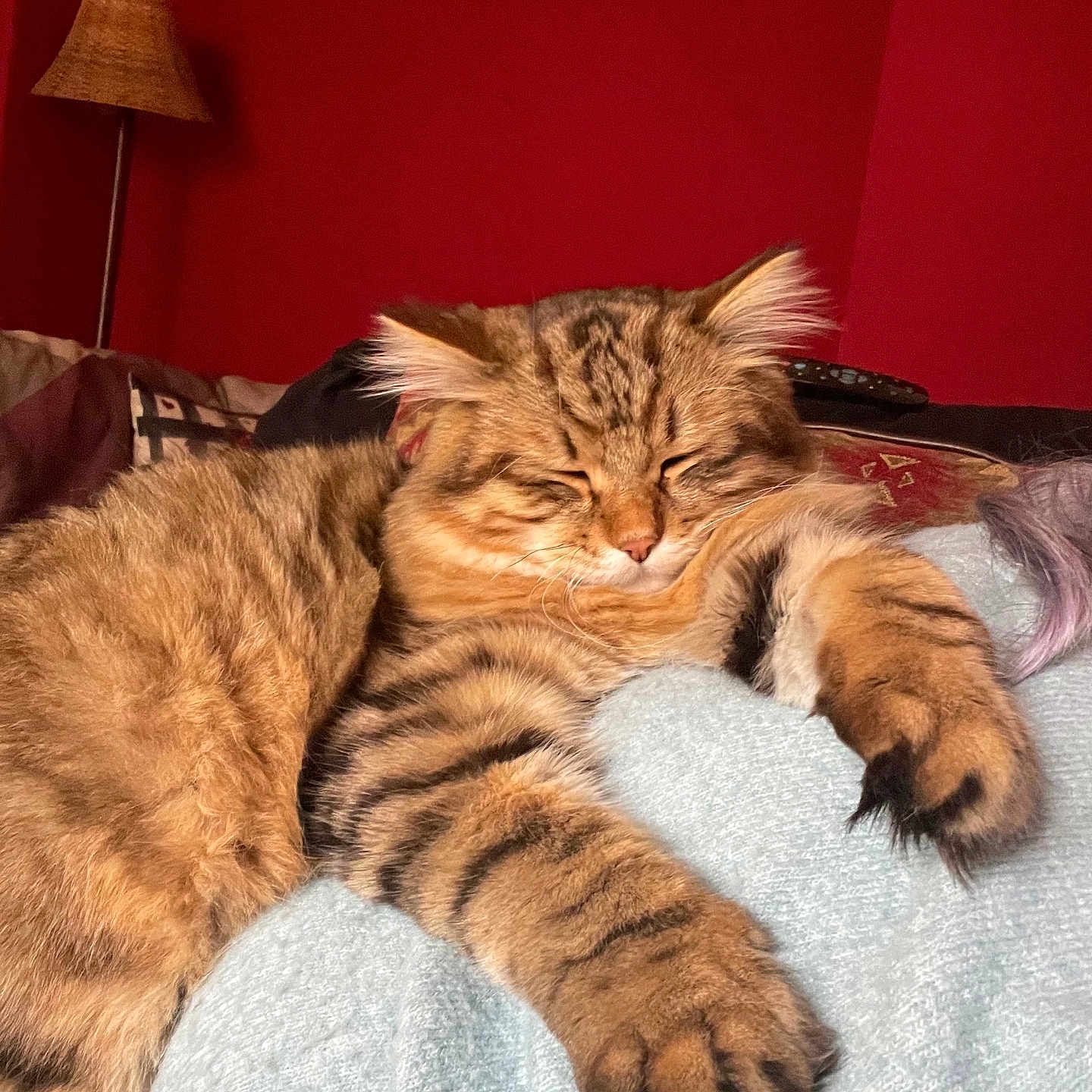 Mika