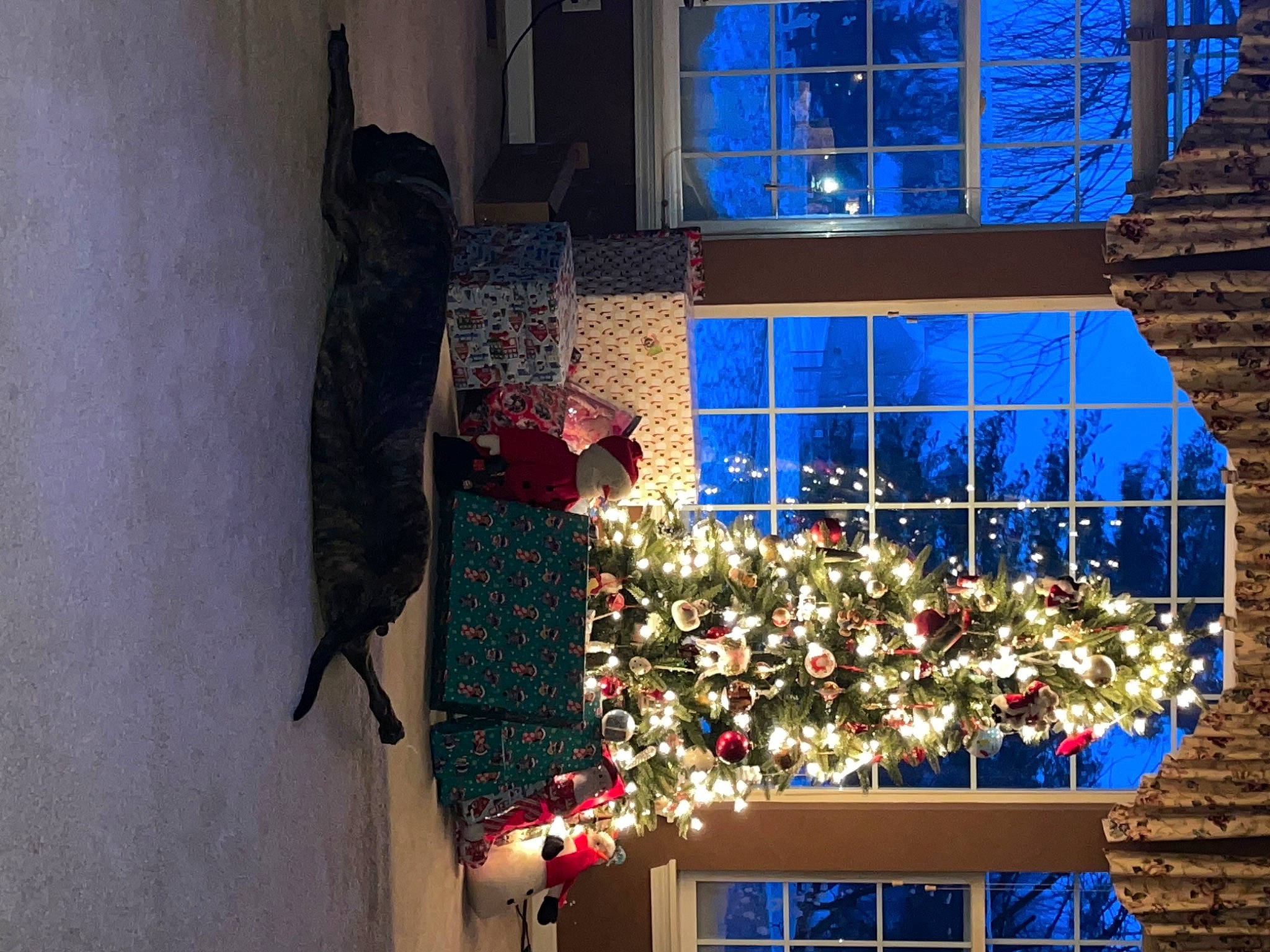 Luna is registered to the contest to win money with this photo: blue, building, christmas, christmas_decoration, christmas_ornament, christmas_tree, city, electric_blue, event, facade, holiday, holiday_ornament, house, line, ornament, plant, sky, tree, window, wood