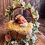 baby, basket, curly_wool, cute, decorative, delicate, floral_wreath, flowers, greenery, headband, indoors, infant, newborn, peaceful, pink_flowers, portrait, resting, sleeping, soft_texture, wooden_background