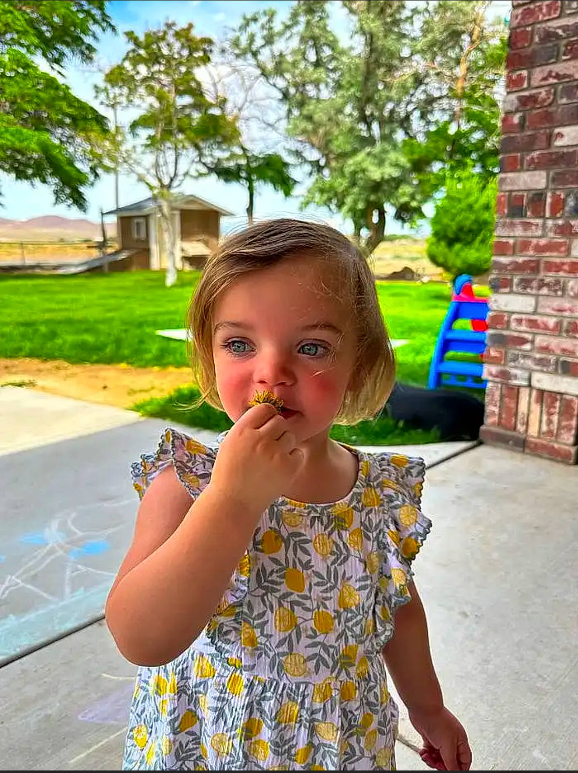 Lila is registered to the contest to win money with this photo: brick, child, day_dress, fun, gesture, grass, happy, leisure, pattern, people, people_in_nature, person, plant, play, recreation, sitting, sky, summer, toddler, tree