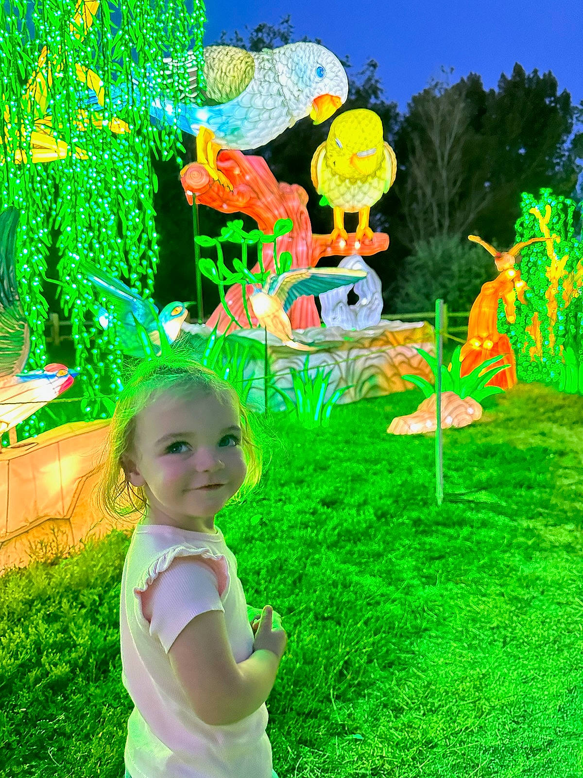 Lila joined the competition — help win amazing prizes! art, baby, baby_toddler_clothing, botany, fun, grass, green, happy, joy, lawn, leisure, light, natural_landscape, people_in_nature, person, plant, sky, smile, summer, terrestrial_plant