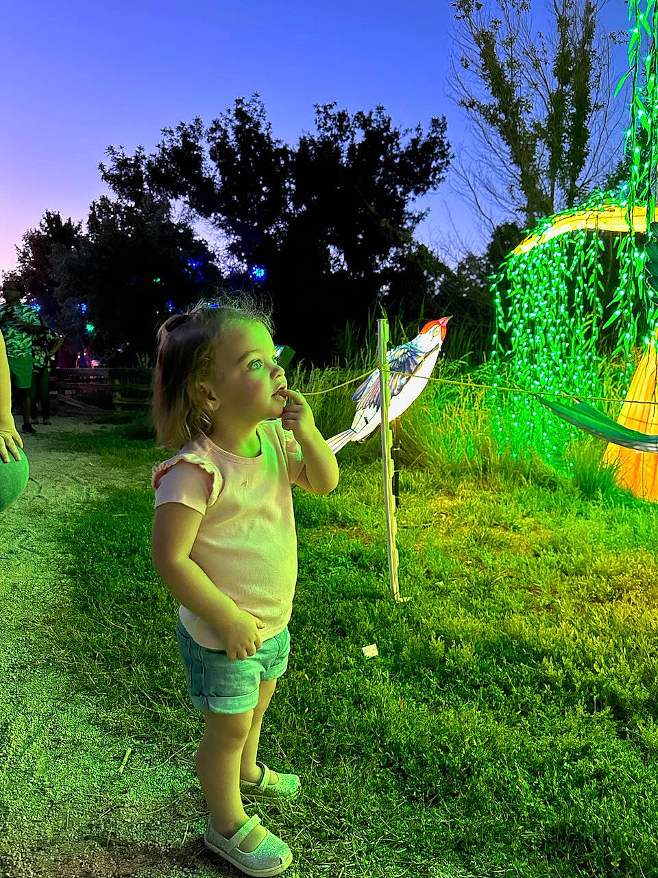 Lila is registered to the contest to win money with this photo: baby_toddler_clothing, child, fun, garden, grass, grass_family, grassland, green, happy, landscape, leisure, meadow, people_in_nature, person, plant, play, recreation, sky, terrestrial_plant, toddler