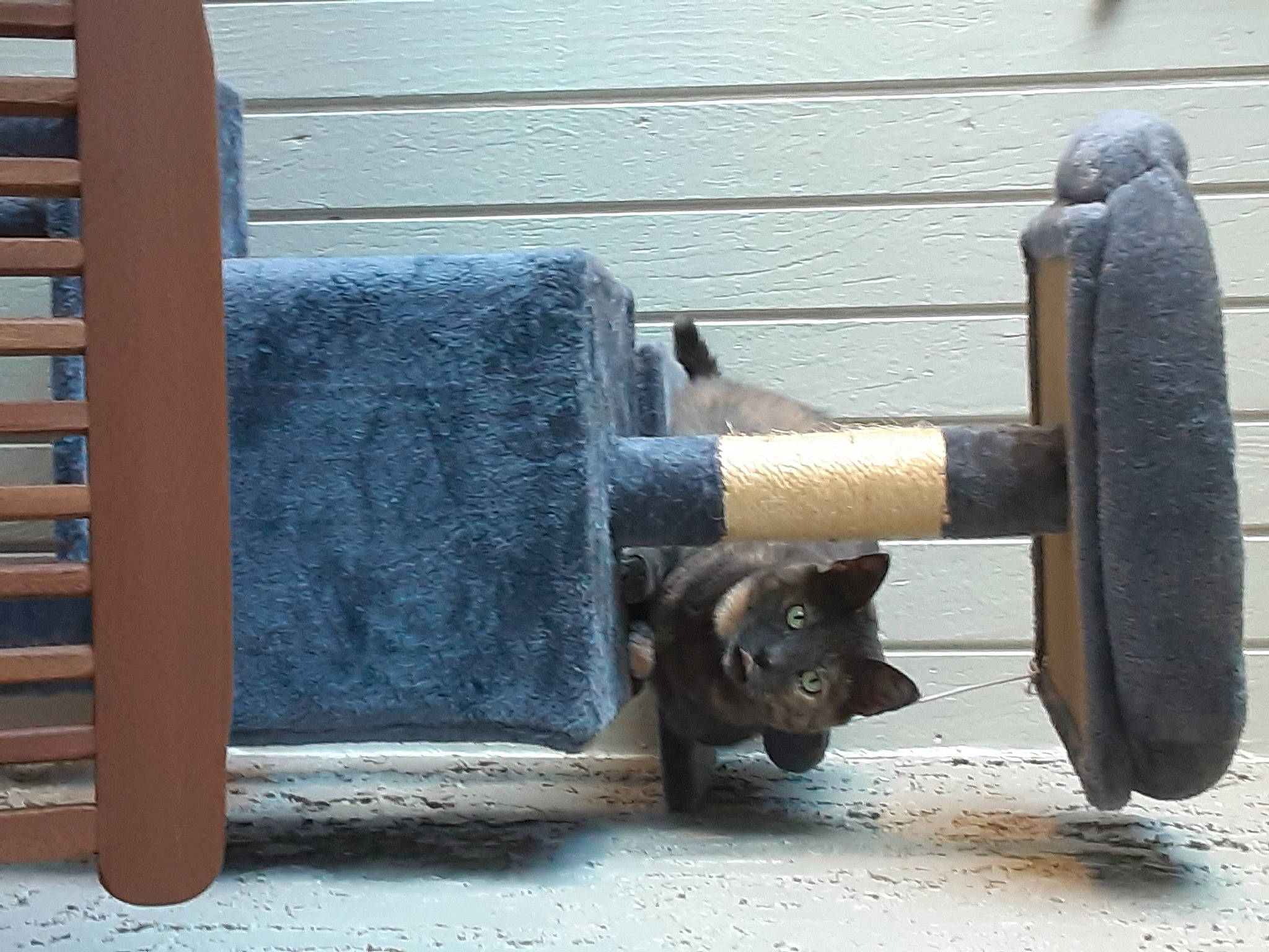 Cassie joined the competition — help win amazing prizes! auto_part, automotive_tire, automotive_wheel_system, bumper, concrete, cylinder, electric_blue, gas, human_leg, machine, metal, pipe, rectangle, rim, room, tail, tints_and_shades, tire, wheel, wood