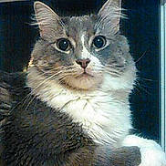 Arthas is registered to the contest to win money with this photo: