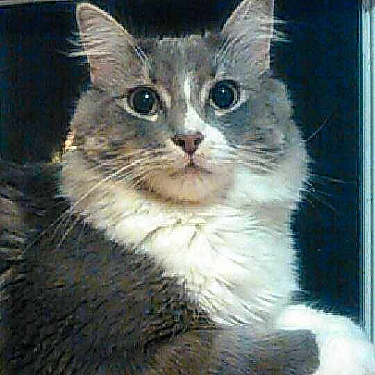 Arthas is registered to the contest to win money with this photo: