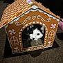 cat, black_and_white_cat, cardboard_house, gingerbread_house, indoor, carpet, pet, curious, whiskers, window, decorative, playful, animal, cute, feline, house, toy, cozy, looking_out, face