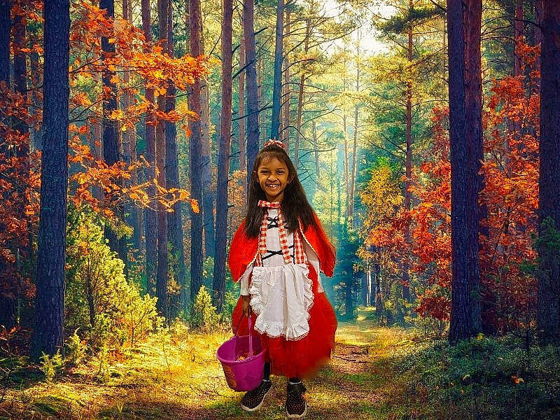 Kaitlyn joined the competition — help win amazing prizes! branch, deciduous, flash_photography, forest, grass, grove, happy, joy, landscape, leaf, morning, natural_landscape, orange, people_in_nature, person, plant, sunlight, tints_and_shades, tree, trunk