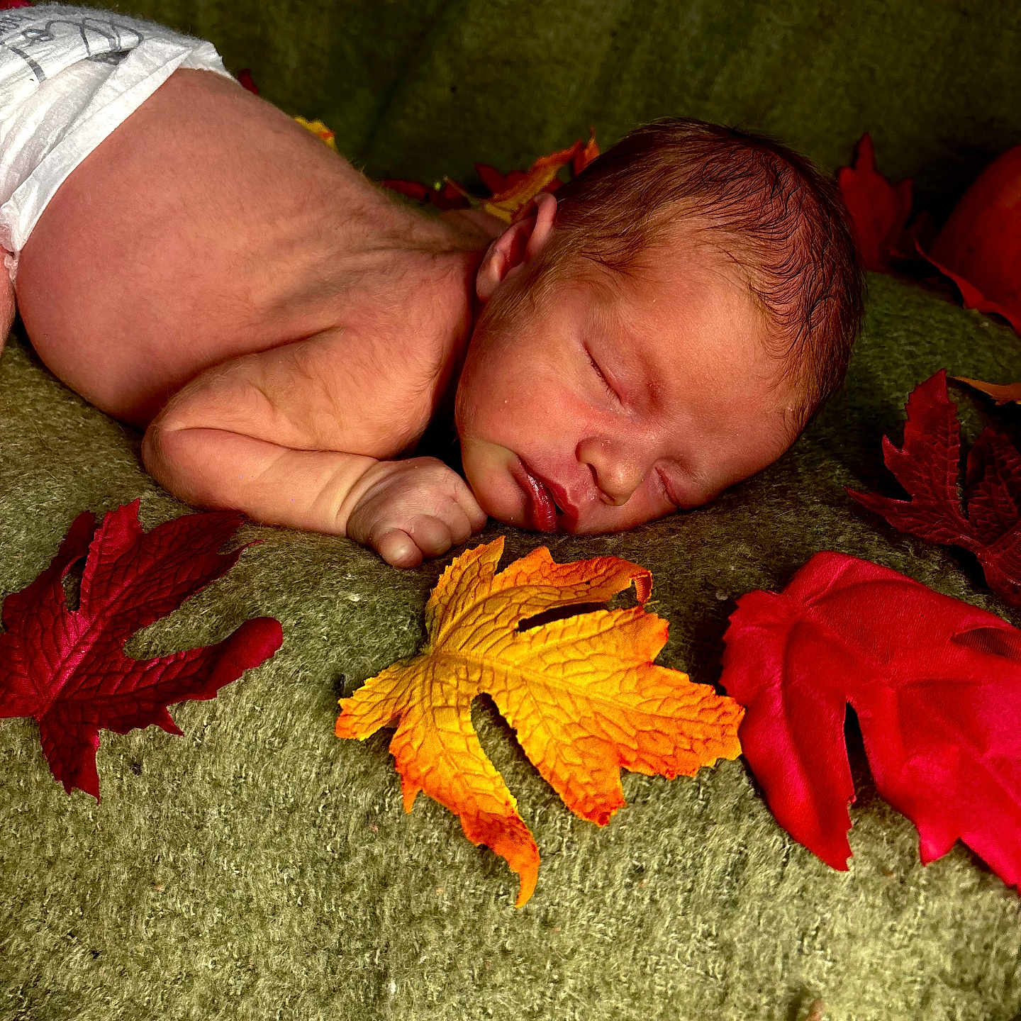 Noble is registered to the contest to win money with this photo: autumn_leaves, baby, blanket, child, closeup, cute, diaper, fall_theme, infant, natural_light, newborn, orange_leaf, peaceful, portrait, red_leaf, resting, skin, sleeping, soft_texture, yellow_leaf