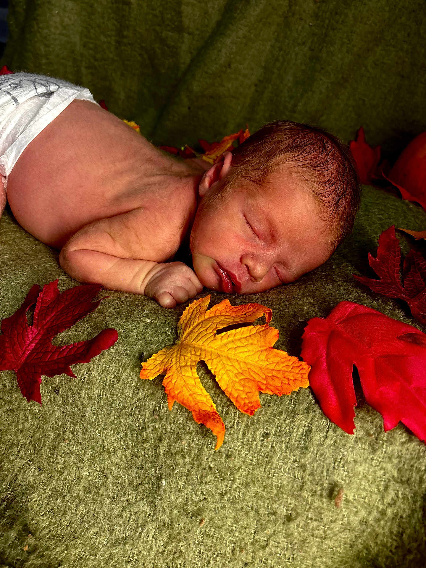 Noble is registered to the contest to win money with this photo: newborn, baby, sleeping, diaper, blanket, autumn_leaves, red_leaf, yellow_leaf, orange_leaf, soft_texture, infant, skin, peaceful, portrait, closeup, resting, cute, child, fall_theme, natural_light