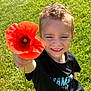 child, boy, flower, red_flower, smile, outdoor, grass, greenery, sunlight, curly_hair, nature, portrait, happy, holding, tshirt, young, person, daylight, summer, closeup
