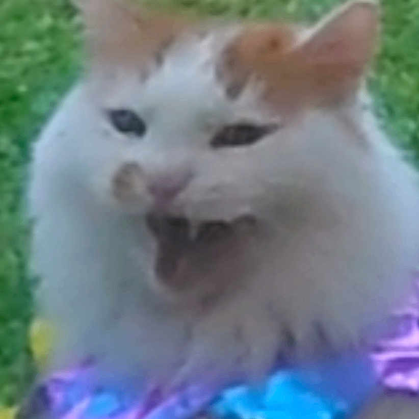 Simba