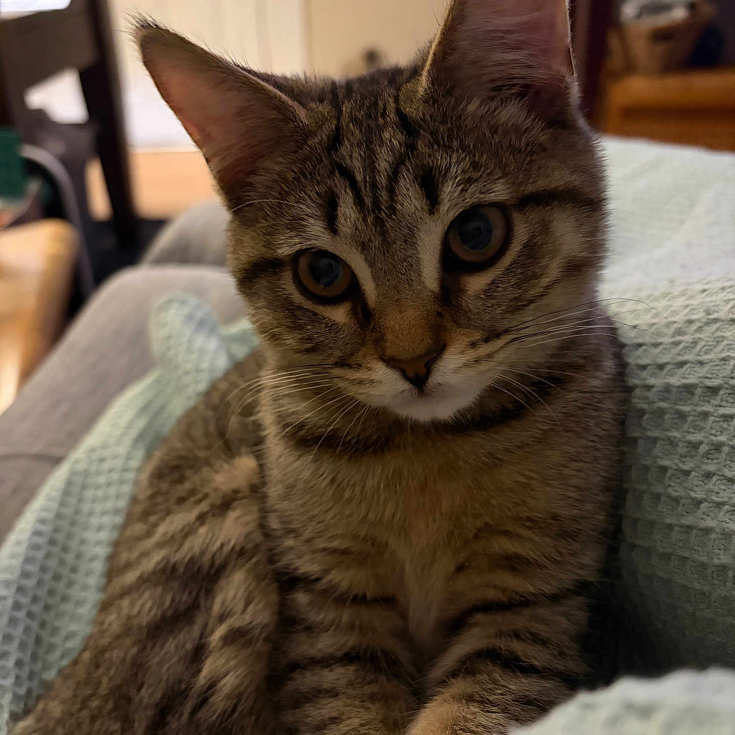 Jaxson