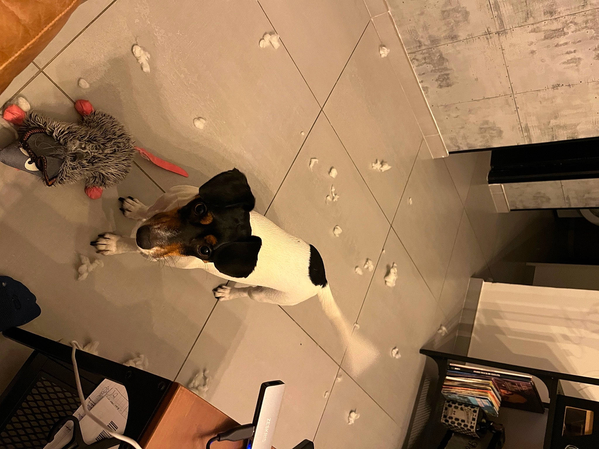 Peaky a rejoint le concours — aidez-le/la à gagner de superbes lots ! automotive_design, carmine, ceiling, climbing, eyewear, fashion_design, flooring, font, fun, plastic, recreation, room, space, visual_arts