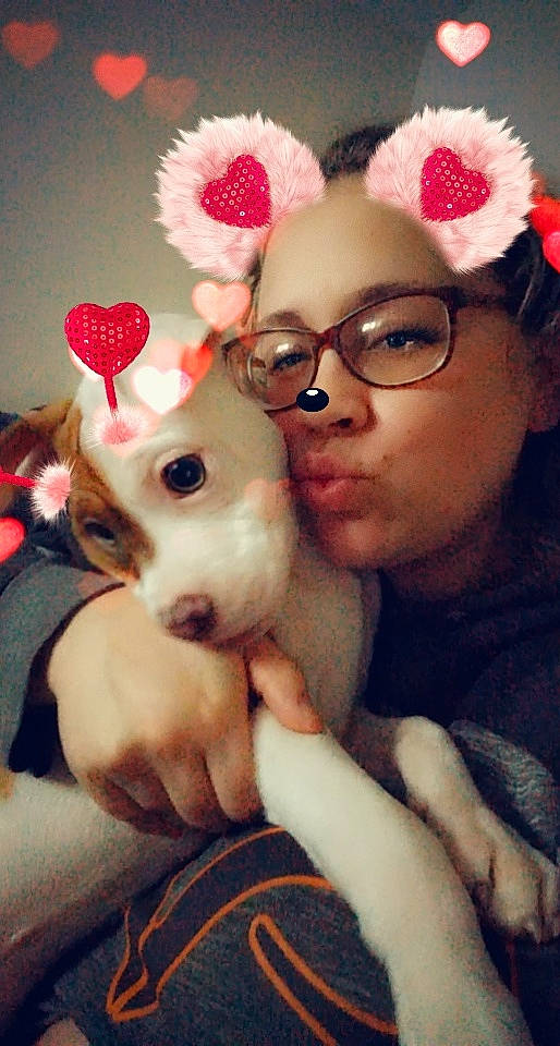 Gizmo joined the competition — help win amazing prizes! canidae, companion_dog, ear, fawn, puppy_love, stuffed_toy