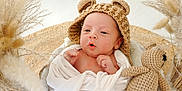 Gaël participe au concours pour gagner de l'argent avec cette photo : newborn, baby, infant, knitted_hat, bear_ears, blanket, crocheted_toy, teddy_bear, pampas_grass, soft_texture, cozy, wrapped, cute, portrait, indoor, white_blanket, baby_hands, headwear, decor, closeup
