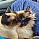 Lucy And Lily
