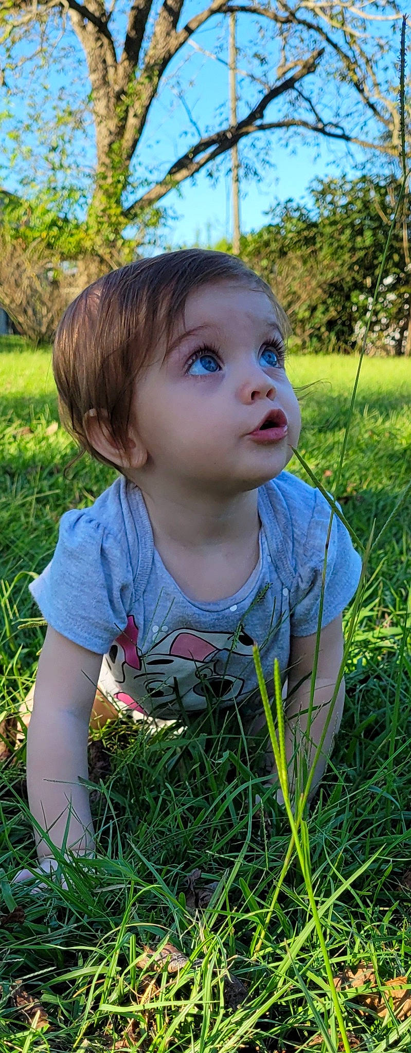 Aubriella joined the competition — help win amazing prizes! baby, baby_toddler_clothing, botany, child, eye, fun, grass, grass_family, hairstyle, happy, head, iris, lip, nose, people_in_nature, person, plant, skin, sunlight, surprise