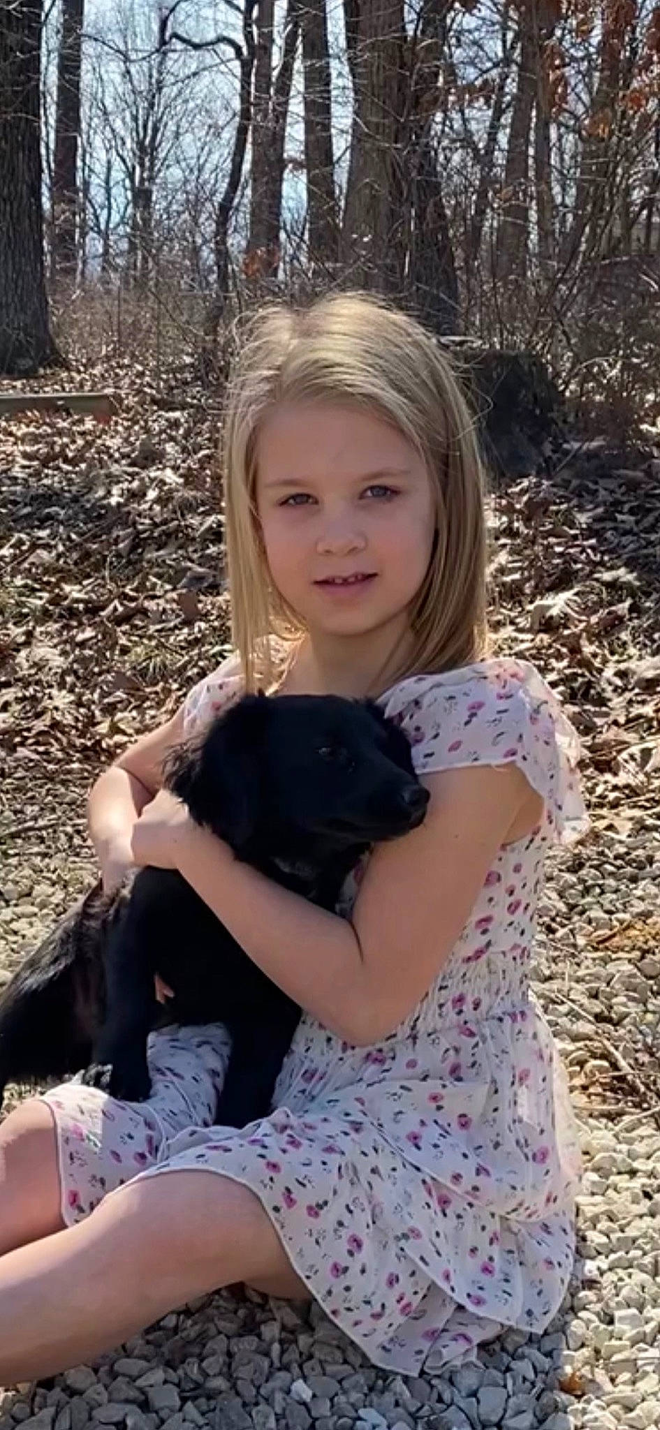 Rebecca joined the competition — help win amazing prizes! blond, brown_hair, carnivore, child, companion_dog, fawn, forest, fur, grass, happy, long_hair, mammal, pattern, people_in_nature, person, sitting, soil, spring, terrestrial_animal, toddler