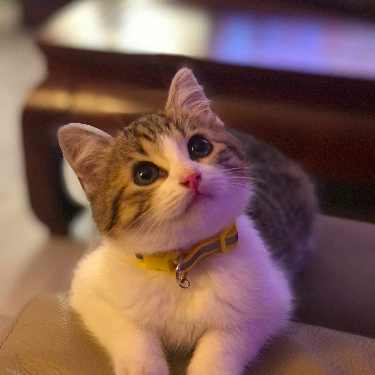 Loki