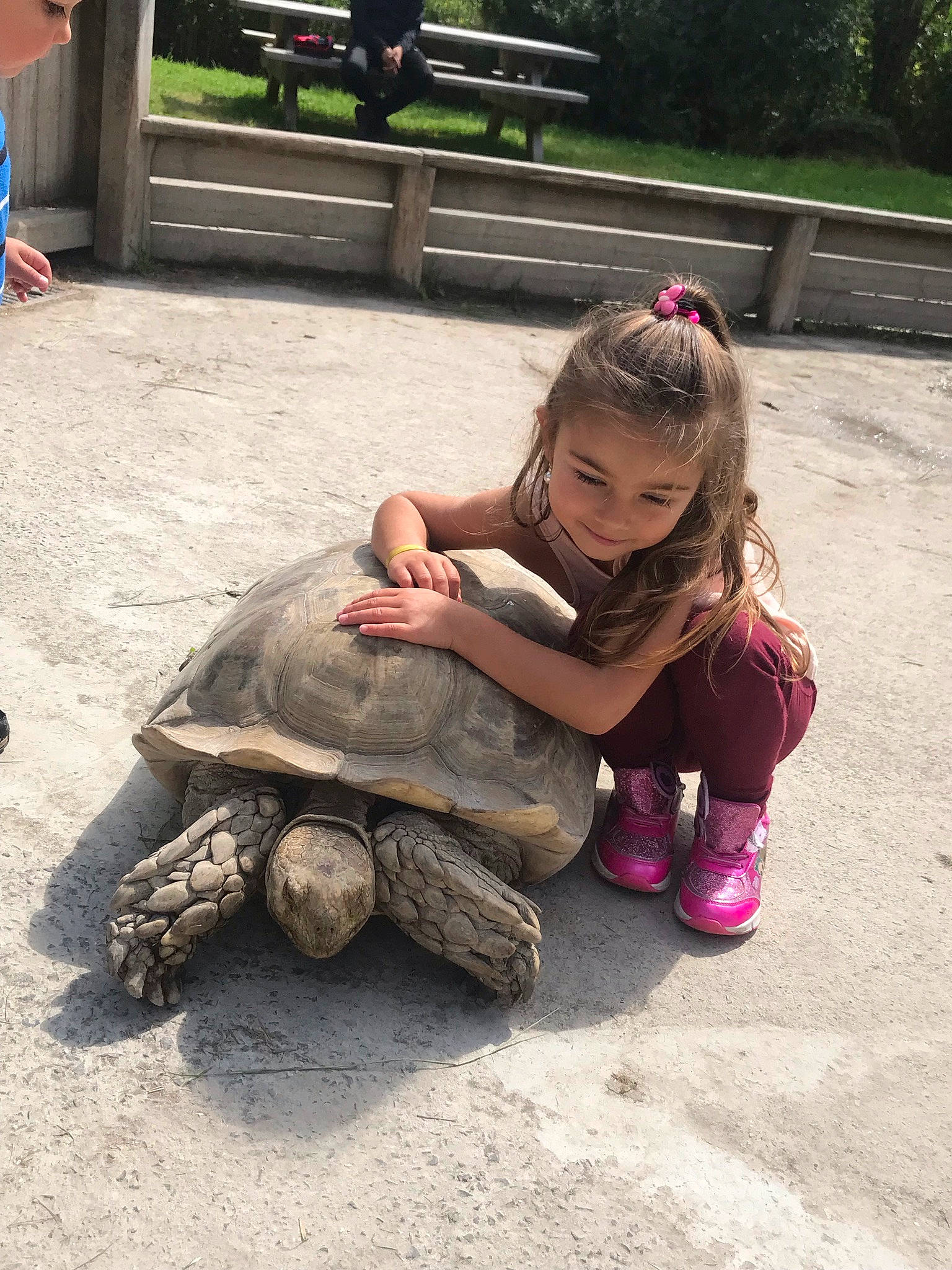 Elizea participe au concours pour gagner de l'argent avec cette photo : boot, child, fun, galapagos_tortoise, gopher_tortoise, grass, happy, joy, leg, leisure, mouth, person, plant, public_space, recreation, reptile, sitting, soil, toddler, tortoise