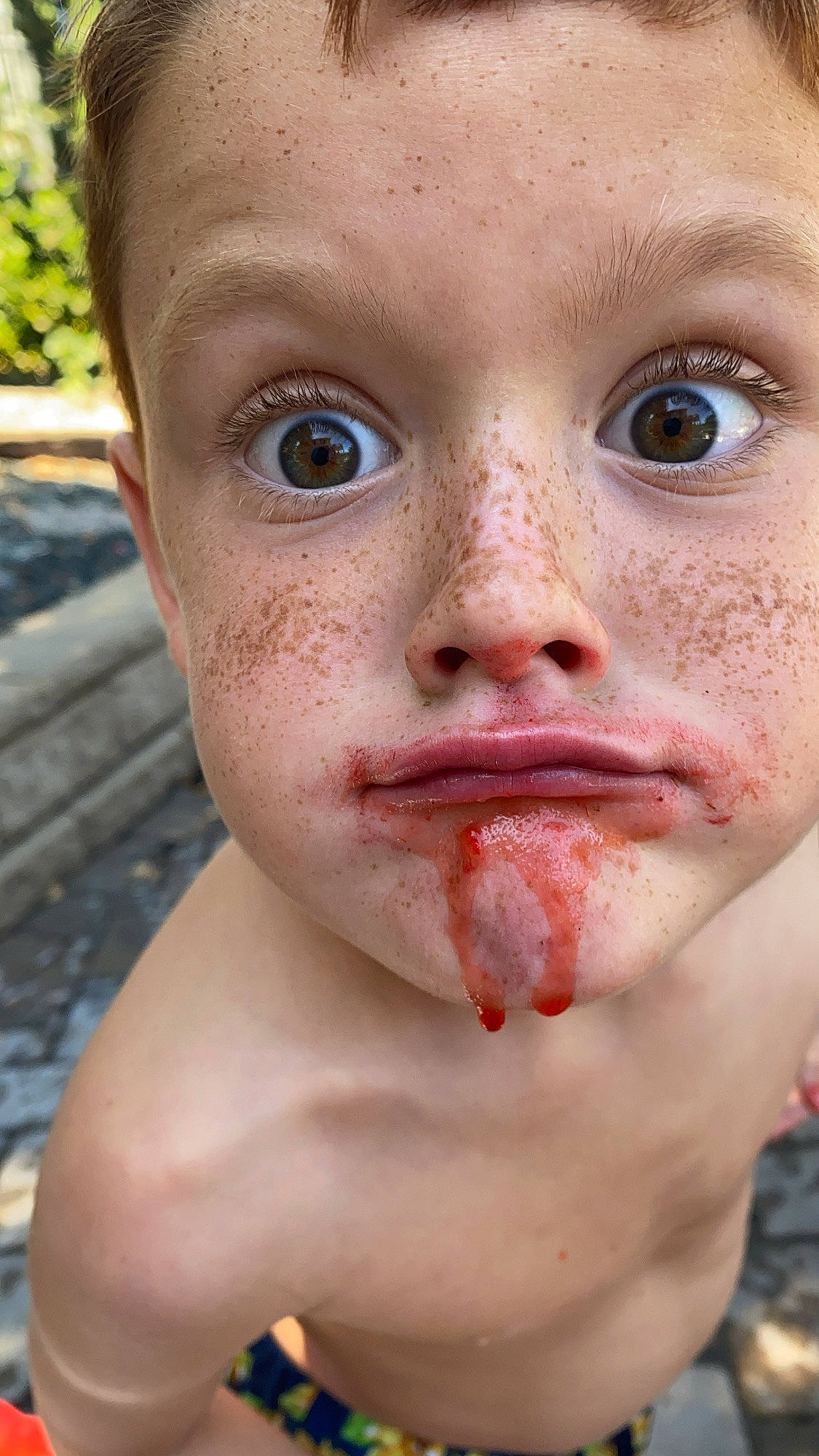 Bo joined the competition — help win amazing prizes! cheek, chin, eye, eyebrow, eyelash, forehead, hair, head, human_body, iris, jaw, lip, mouth, neck, no_expression, nose, person, skin, snout, surprise