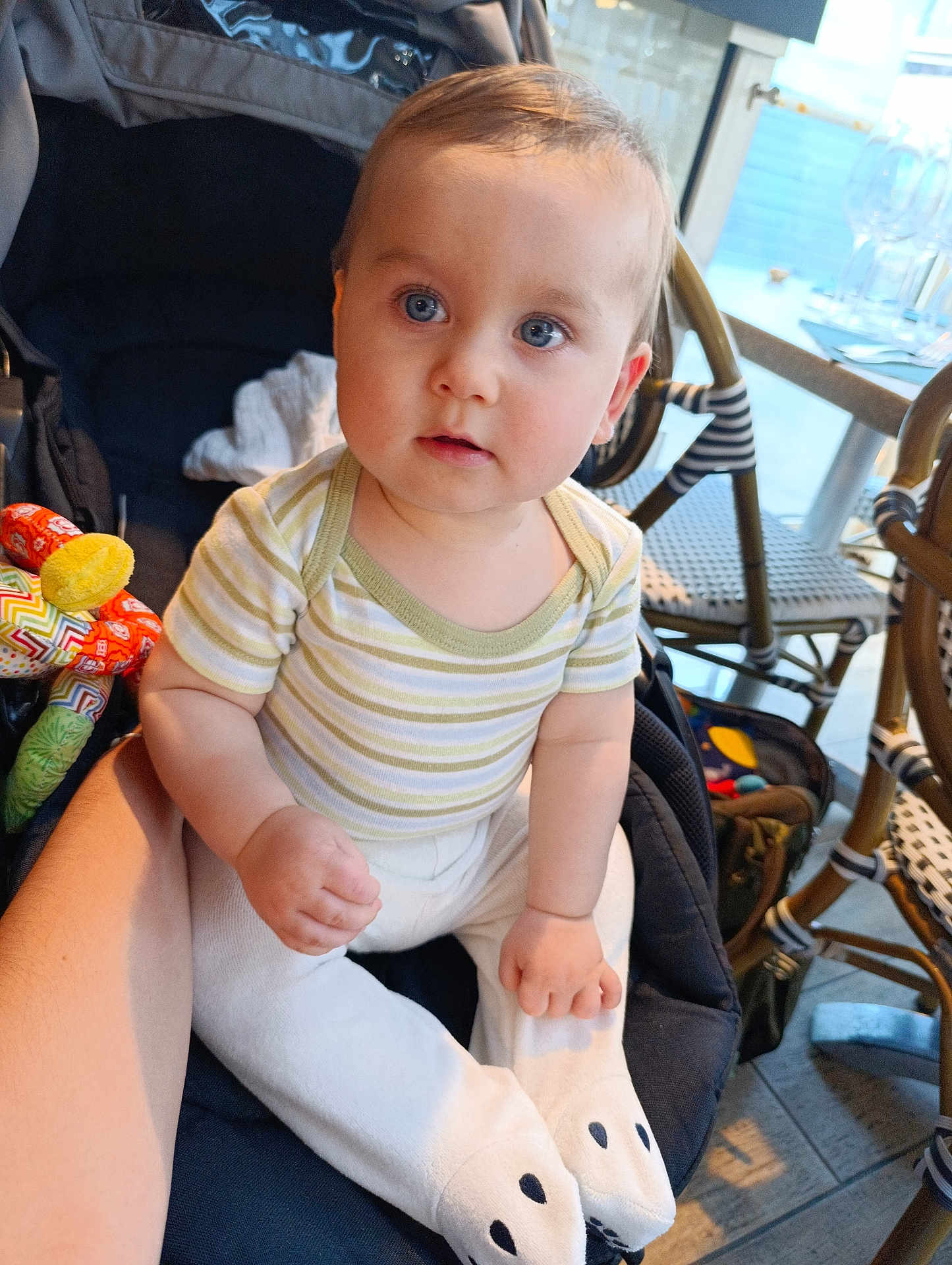 Marius a rejoint le concours — aidez-le/la à gagner de superbes lots ! baby, child, stroller, indoor, blue_eyes, striped_shirt, white_pants, paw_prints, curious, seated, hand, furniture, chair, table, natural_light, cute, infant, person, casual_clothing, cozy
