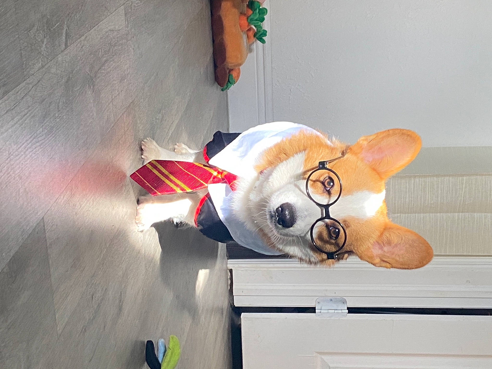 Toby joined the competition — help win amazing prizes! animation, art, baby_toys, carmine, fawn, mascot, plush, propeller, room, snout, stuffed_toy, tail, toy, wood