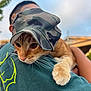 Kyo joined the competition — help win amazing prizes! cat, orange_tabby, camouflage_cap, person, shoulder, outdoor, sky, trees, green_shirt, yellow_design, closeup, pet, animal, whiskers, curious, casual_clothing, daylight, nature, cute, companion