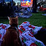 cat, blanket, outdoor, movie_night, lawn_chair, grass, evening, screen, people, trees, leash, animal, relaxing, gathering, technology, entertainment, nature, dusk, pet, event