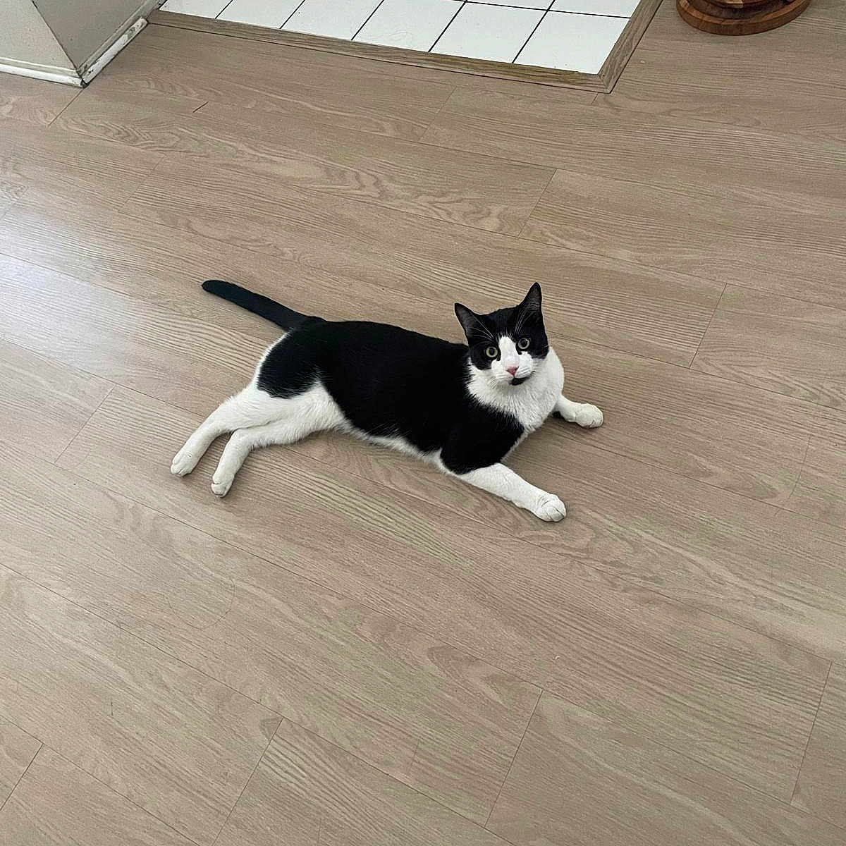 Oreo