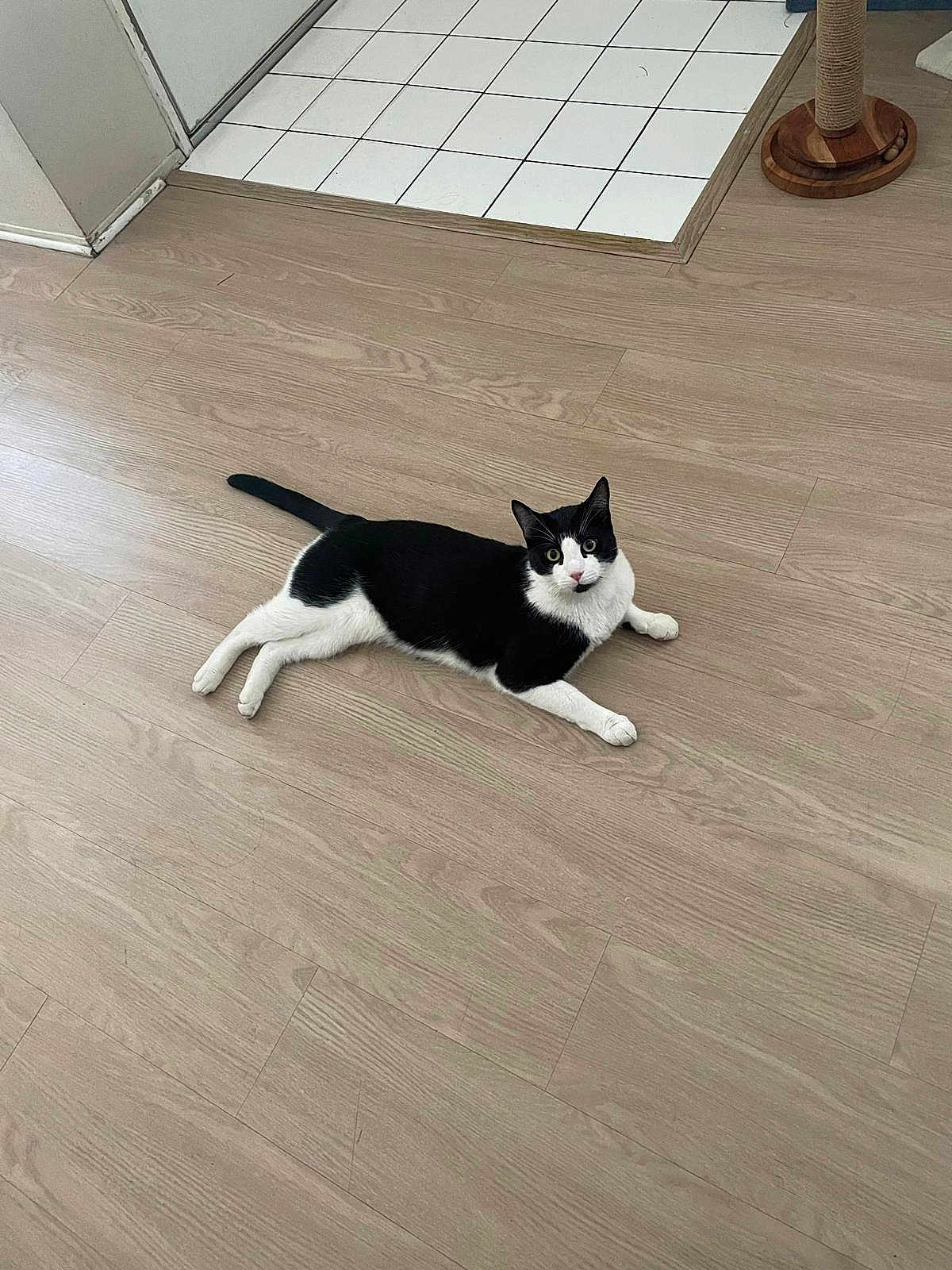 Oreo